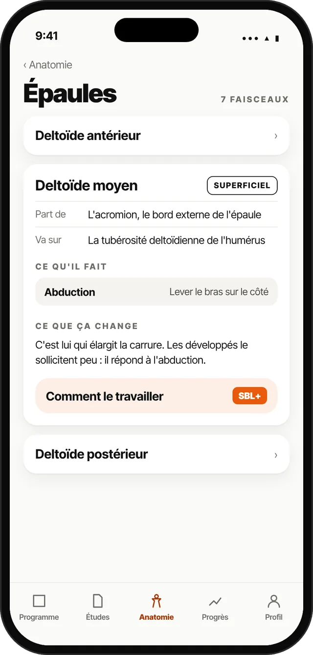 Écran de l'app SBL : l'anatomie de l'épaule, faisceau par faisceau